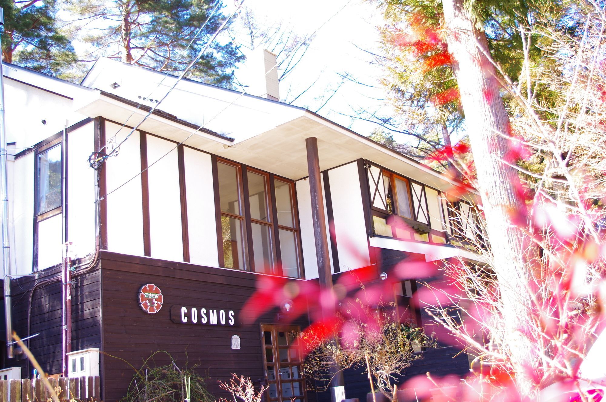 Forest Resort Cosmos 富士河口湖 外观 照片